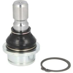 Junta de suporte TEN CAR S054