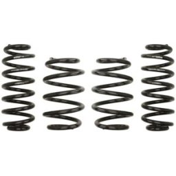 Kit de suspensão, molas EIBACH Pro-Kit E10-15-007-04-22