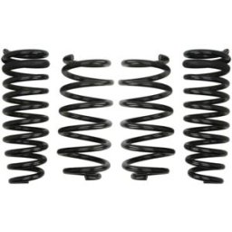 Kit de suspensão, molas EIBACH Pro-Kit E10-55-004-02-22