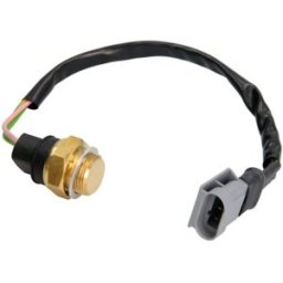 Interruptor de temperatura, ventilador do radiador FAE 38260
