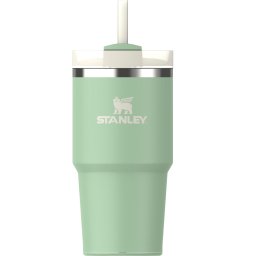 Stanley The Quencher/Copo H2.O FlowState™ Tumbler 0.6L/20oz Pistachio 10-10826-3