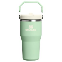 Stanley The IceFlow™ Flip Straw 2.0 Tumbler 600 ml/20oz Pistachio 10-13425-047
