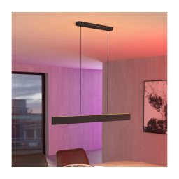Eglo 31433 - Candeeiro suspenso LED RGBW com regulação ANDREAS-Z LED/38W/230V preto