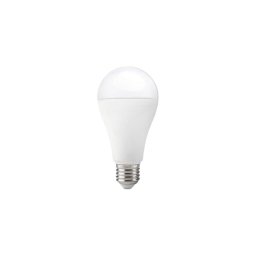Lâmpada LED GS E27/17W/230V 3000K