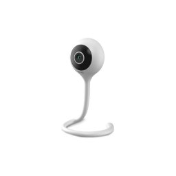 Lionelo - Monitor de bebé inteligente BABYLINE SMART Wi-Fi Branco