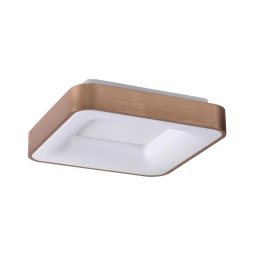 Rabalux 5056 - Iluminação de teto LED CARMELA LED/30W/230V