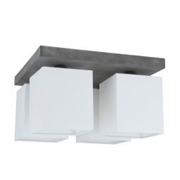 Spot-Light 2241436 - Plafon GREAT 4xE27/25W/230V