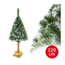 Pinheiro de Natal em tronco 220 cm, pinheiro