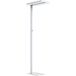 kaiserkraft Candeeiro de pé LED Lara Up & Down, regulação contínua da intensidade luminosa/sensor de movimento, A 1950 mm, prateado, Candeeiro de pé LED Lara Up & Down, regulação contínua da intensidade luminosa/sensor de movimento, A 1950 mm, prateado. U