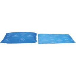 PIG Pads absorventes de água Absorb-&-Lock™ , 10 unidades, CxL 360 x 360 mm, azul, Pads absorventes de água Absorb-&-Lock™, 10 unidades, CxL 360 x 360 mm, azul. Incha em contacto com a água e expande-se. Formam uma barreira que impede que mais fugas e pin