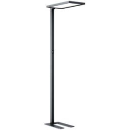 kaiserkraft Candeeiro de pé LED Luka Up & Down, sensor de movimento/regulação tátil da intensidade luminosa, A 1950 mm, preto, Candeeiro de pé LED Luka Up & Down, sensor de movimento/regulação tátil da intensidade luminosa, A 1950 mm, preto. Sensor de mov