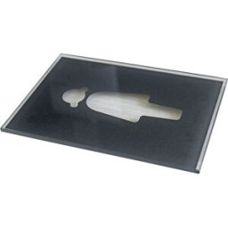 kaiserkraft Placa para porta com pictograma WC, AxL 148 x 105 mm, senhoras, Placa para porta com pictograma WC, AxL 148 x 105 mm, senhoras. No verso, o motivo é laminado com película escura (cinzento metálico Avery 846). De vidro para fácil montagem por c
