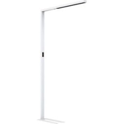 kaiserkraft Candeeiro de pé LED Linus Up & Down, sensor/regulação da intensidade luminosa, A 1950 mm, branco, Candeeiro de pé LED Linus Up & Down, sensor/regulação da intensidade luminosa, A 1950 mm, branco. Sem tremulação. Com sensor e regulação da inten