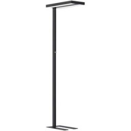kaiserkraft Candeeiro de pé LED Lara Up & Down, regulação contínua da intensidade luminosa/sensor de movimento, A 1950 mm, preto, Candeeiro de pé LED Lara Up & Down, regulação contínua da intensidade luminosa/sensor de movimento, A 1950 mm, preto. UGR < 1