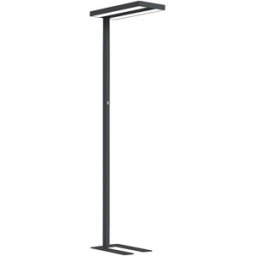 kaiserkraft Candeeiro de pé LED Lara Up & Down, com possibilidade de regulação da intensidade luminosa, A 1950 mm, preto, Candeeiro de pé LED Lara Up & Down, com possibilidade de regulação da intensidade luminosa, A 1950 mm, preto. UGR < 17. Sem tremulaçã