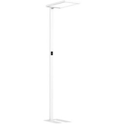 kaiserkraft Candeeiro de pé LED Luka Up & Down, sensor de movimento/regulação tátil da intensidade luminosa, A 1950 mm, branco, Candeeiro de pé LED Luka Up & Down, sensor de movimento/regulação tátil da intensidade luminosa, A 1950 mm, branco. Sensor de m