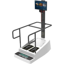 Sistema de treinamento do equilíbrio baseado em perturbações e com exercícios duales (motores e cognitivos) que permitem realizar uma reabilitação física e neurológica de alto nível. Plataforma Kine-sim IX Dynamic