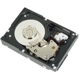 Dell - Disco rígido - 1 TB - interna - 3.5" - SATA 6Gb/s - 7200 rpm - para PowerEdge R230, R330, T130, T330, T430 - 5397184015421