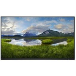 DELL DEL PRO MONITOR 24" PLUS P2425H - 5397184821718