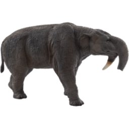 Animais de Brincar Deinotherium Science4you Loja Online