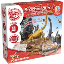 Escavações Fósseis Dinossauro Brachiosaurus Science4you