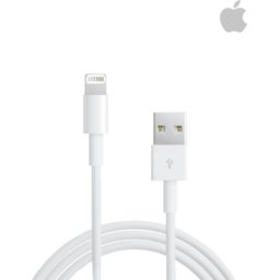 Cabo Lightning (1m) Apple
