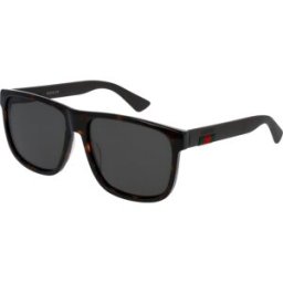 Óculos de sol Gucci GG0010S Castanho Tamanho: 58X16 Castanho