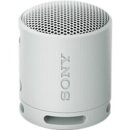 Sony Coluna Portátil Bluetooth SRS-XB100 - Cinzento