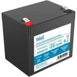 Bateria de Lítio LiFePO4 12,8V 5Ah 64Wh - WELL