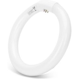 AIGOSTAR Lampada Fluorescente Circular T9 220V 22W