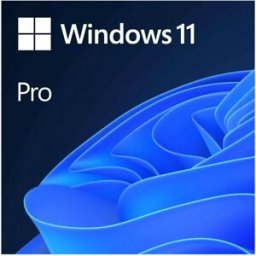 Windows 11 PRO 64Bit PT 1PK DSP OEI DVD - MICROSOFT