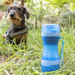 Garrafa c/ Depósito de Água e Comida p/ Animais de Estimação 2 em 1 Pettap - INNOVAGOODS