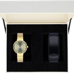 Relógio Analógico RA521203T 28MM (Dourado) - RADIANT