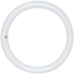 GSC Lampada Fluorescente Circular T9 220V 40W 2600Lm