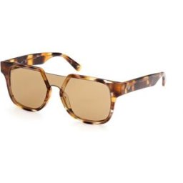 Óculos de Sol Homem WE0315-0041F - WEB EYEWEAR