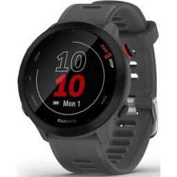 SmartWatch Forerunner 55 (Cinza) - GARMIN