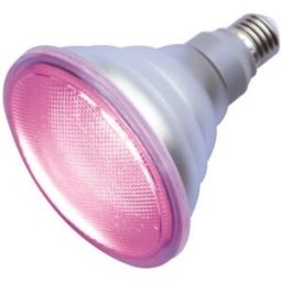 Lampada LED E27 PAR38 220V 12W p/ Crescimento Plantas e Flores