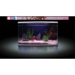 Lampada Fluorescente "ESPECIAL AQUARIOS" 10W Multicolor (60cm)