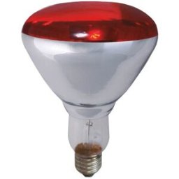 Lampada Infra. Aquecimento E27 R125 250W - GSC