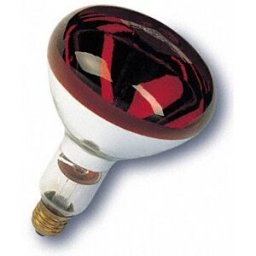 Lampada Infra. Aquecimento R125 250W - PHILIPS