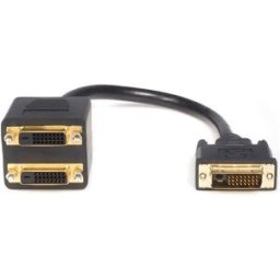 Spliter DVI-D Macho - 2x DVI-D Femea (30cm) - STARTECH