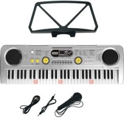 Órgão 61 Teclas Micro USB Função Prof Cinza - REIG