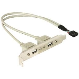 Placa USB Interno 5 Pin - 2x USB A Fêmea - DELOCK