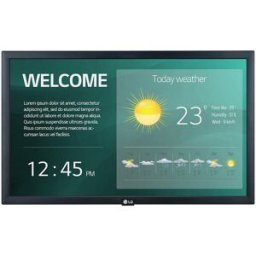 Painel de Apresentação 22SM3G-B 21,5" IPS Full HD - LG