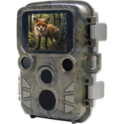 Câmara Vida Selvagem Cam Black800 Mini - BRAUN