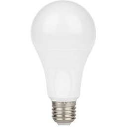 AIGOSTAR Lampada LED E27 A67 220V 20W Branco F. 6500K 2100Lm