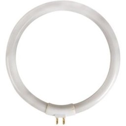 Velleman Lampada Fluorescente Circular T4 220V 12W p/ Candeeiros Lupa