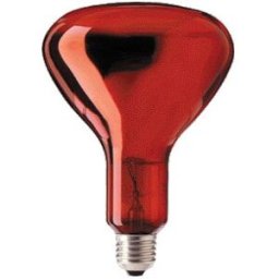 Lampada Infra. Aquecimento E27 R115 250W - GSC