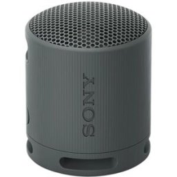 Coluna Portátil SRS-XB100 IP67 (Preto) - SONY