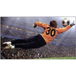 Monitor LFD 49" VL5G-M IPS Full HD (Preto) - LG